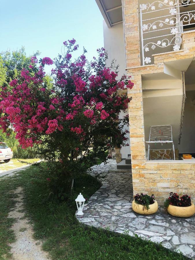 Vila Jovana Sutomore Εξωτερικό φωτογραφία